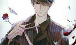 动漫男霸气,动漫男英雄的荣耀征程