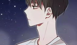 男口女漫画,跨越性别界限的幽默与思考