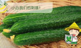 五六吃瓜网,五六吃瓜网带你领略吃瓜界的风云变幻