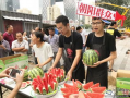 朝阳群众吃瓜网入口,吃瓜网入口带你探秘京城生活百态