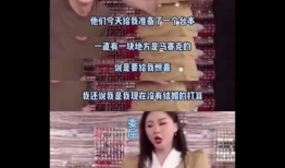 网曝吃瓜劲爆小说,吃瓜劲爆小说，揭秘娱乐圈背后的秘密风暴