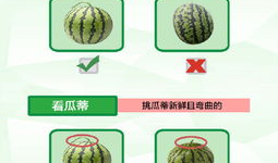 爆料吃瓜模板怎么写的,最新爆料，吃瓜群众速来围观！