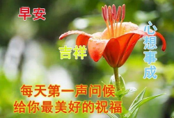 问候漫画,传递友谊与关怀的瞬间