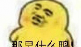 网课吃瓜表情包,趣味横生的学习时光