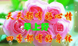 问候漫画,传递友谊与关怀的瞬间